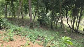 Land for sale in Ao Nang, Krabi