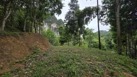 Land for sale in Ao Nang, Krabi