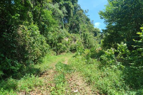 Land for sale in Ao Nang, Krabi