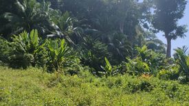 Land for sale in Ao Nang, Krabi