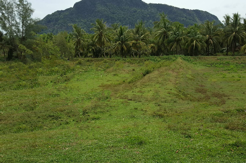 Land for sale in Ko Klang, Krabi