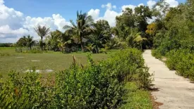 Land for sale in Khlong Prasong, Krabi