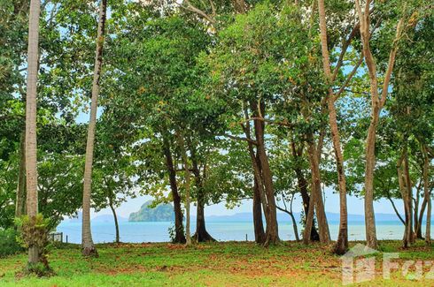 Land for sale in Khao Thong, Krabi