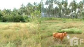 Land for sale in Ko Lanta Yai, Krabi