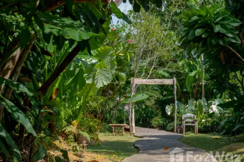 Land for sale in Ao Nang, Krabi