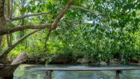 Land for sale in Ao Nang, Krabi