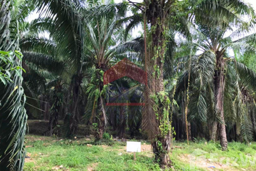 Land for sale in Ao Nang, Krabi