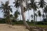 Land for sale in Ko Lanta Yai, Krabi