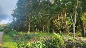 Land for sale in Khao Thong, Krabi