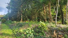 Land for sale in Khao Thong, Krabi