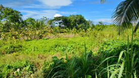 Land for sale in Ko Lanta Yai, Krabi