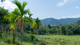 Land for sale in Nong Thale, Krabi