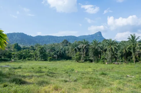 Land for sale in Nong Thale, Krabi