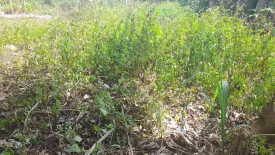 Land for sale in Sai Thai, Krabi