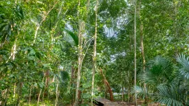 Land for sale in Nong Thale, Krabi