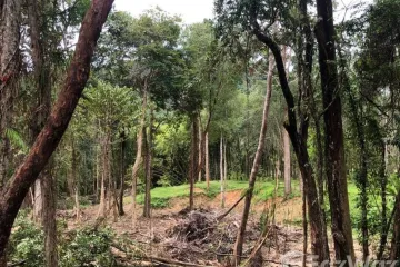 Land for sale in Khao Thong, Krabi