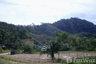 Land for sale in Ko Lanta Yai, Krabi