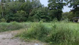 Land for sale in Pak Nam, Krabi
