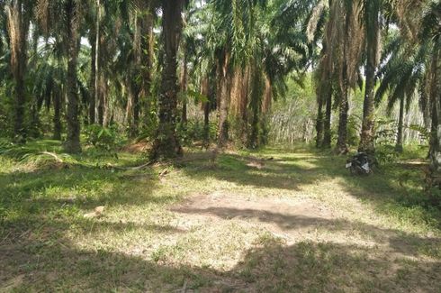 Land for sale in Krabi Noi, Krabi