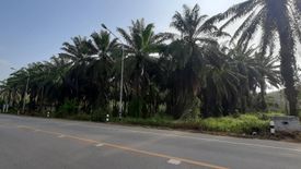 Land for sale in Krabi Noi, Krabi