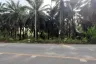 Land for sale in Krabi Noi, Krabi