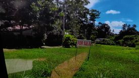 Land for sale in Taling Ngam, Surat Thani