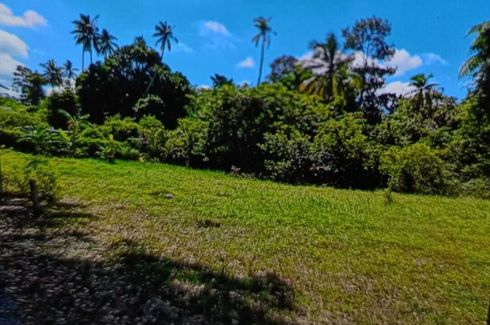 Land for sale in Taling Ngam, Surat Thani