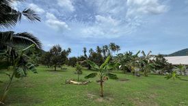 Land for sale in Maret, Surat Thani