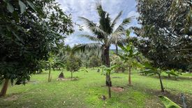 Land for sale in Maret, Surat Thani