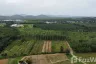 Land for sale in Khok Kloi, Phang Nga