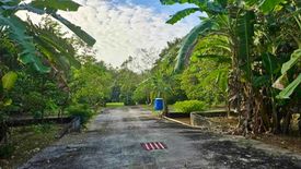 1 Bedroom House for rent in Thep Krasatti, Phuket