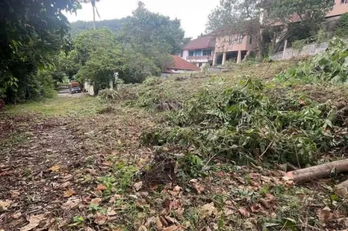 Land for sale in Maret, Surat Thani