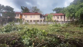 Land for sale in Maret, Surat Thani