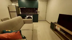 1 Bedroom Condo for rent in THE BASE Sukhumvit 50, Phra Khanong, Bangkok near BTS On Nut