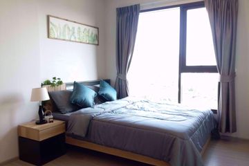 1 Bedroom Condo for rent in Life Sukhumvit 62, Bang Chak, Bangkok near BTS Bang Chak