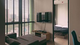 1 Bedroom Condo for rent in Wish Signature  Midtown Siam, Thanon Phaya Thai, Bangkok near BTS Ratchathewi