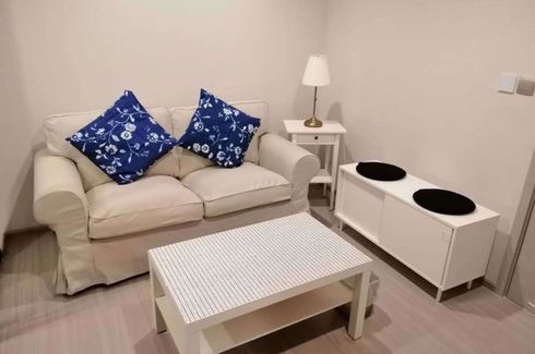 1 Bedroom Condo for rent in Life Sukhumvit 62, Bang Chak, Bangkok near BTS Bang Chak