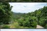 Land for sale in Lipa Noi, Surat Thani