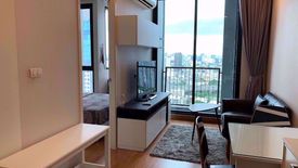 1 Bedroom Condo for rent in Q House Condo Sukhumvit 79, Phra Khanong Nuea, Bangkok near BTS On Nut