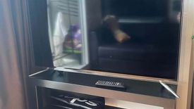 1 Bedroom Condo for rent in Lumpini Place Bangna Km.3, Bang Na, Bangkok near BTS Udom Suk