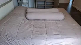 2 Bedroom Condo for rent in The Crest Sukhumvit 49, Khlong Tan Nuea, Bangkok near BTS Thong Lo