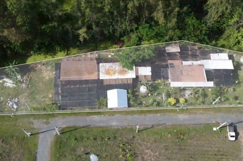 Land for sale in Buak Khang, Chiang Mai