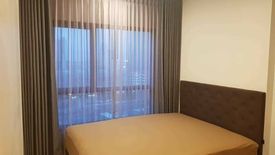 1 Bedroom Condo for rent in The Tree Sukhumvit 71 - Ekamai, Suan Luang, Bangkok near Airport Rail Link Ramkhamhaeng