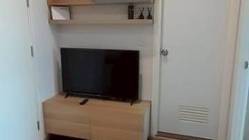 1 Bedroom Condo for rent in The Tree Sukhumvit 71 - Ekamai, Suan Luang, Bangkok near Airport Rail Link Ramkhamhaeng