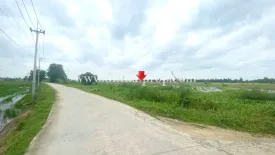 Land for sale in Ban Paeng, Phra Nakhon Si Ayutthaya