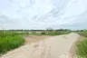 Land for sale in Ban Paeng, Phra Nakhon Si Ayutthaya