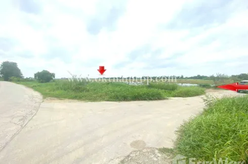 Land for sale in Ban Paeng, Phra Nakhon Si Ayutthaya