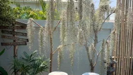 2 Bedroom House for rent in Sam Roi Yot, Prachuap Khiri Khan