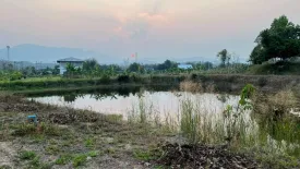 Land for sale in Huai Sai, Chiang Mai
