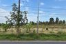 Land for sale in Huai Sai, Chiang Mai
